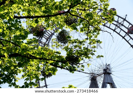 Luminous Foliage in front of a Giant Wheel