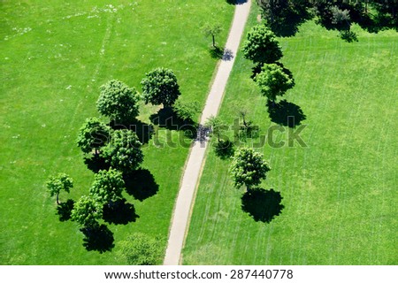 Park Path with Trees and Meadow in BirdÂ´s Eye View