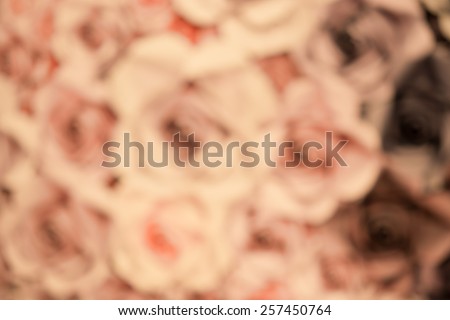 soft focus of colorful  rose background,blur of rose,vintage style