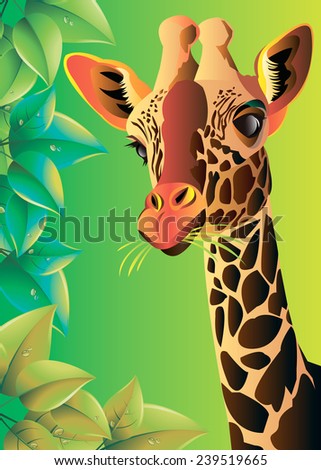giraffe vector animal wild african tall nature