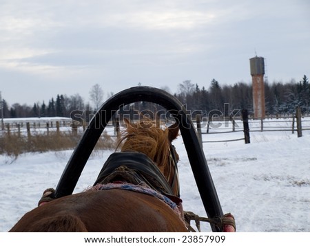 Travel on harnessed horse on winter road