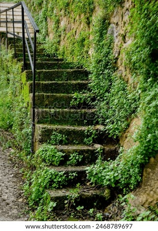 Similar – Foto Bild Treppen, nach oben Moos