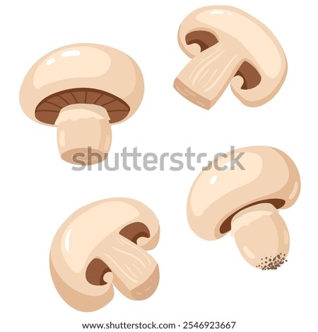 Similar – Image, Stock Photo Fresh Champignon mushrooms on gray table