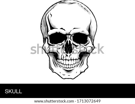 Minecraft Skeleton Face Clipart Skeleton Face Clipart Stunning Free Transparent Png Clipart Images Free Download