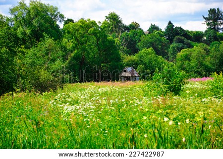 Beautiful solar landscape with herb and flowers on meadow and sunny sky. House in a clearing in the distance.
