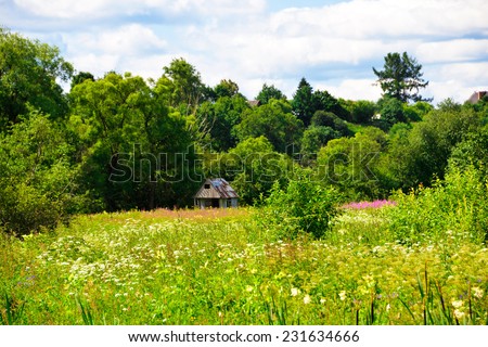 Beautiful solar landscape with herb and flowers on meadow and sunny sky. House in a clearing in the distance.