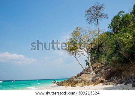 Beautiful tropical beach with tropical trees. Sea with shining blue water in Thailand.