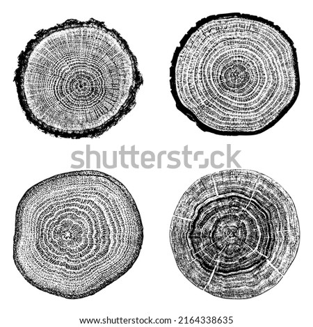 Tree stump circle rings. Wood log silhouette print.
