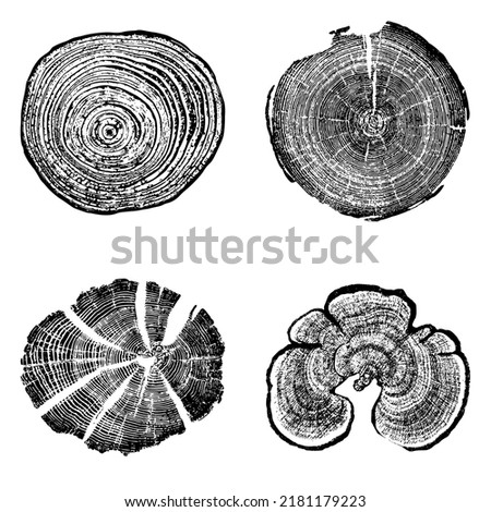 Tree stump circle rings. Wood log silhouette print.