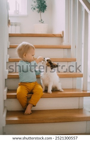 Similar – Image, Stock Photo Baby and dog at park