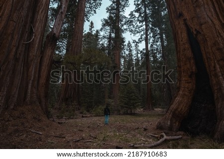 Similar – Image, Stock Photo Grand Canyon III USA