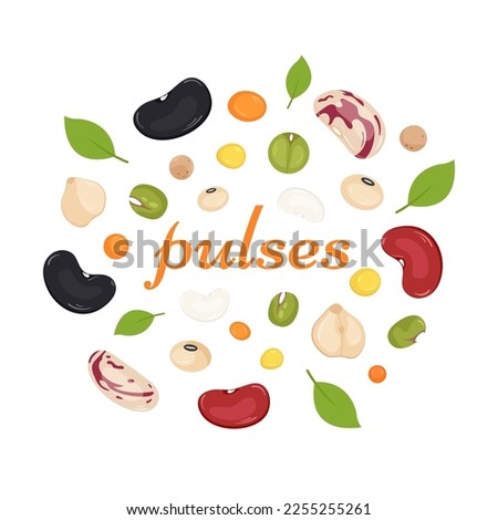 Mix of grain legumes on white background. World Pulses Day. Benefits of legumes, a source of protein and fiber. Vector illustration