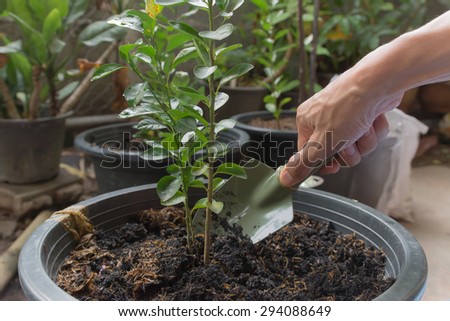 Shoveling soil, plants, trees provide a breath of air.