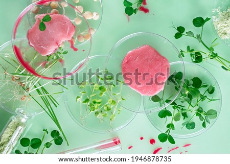 Cultivated steak, meat from the plant stem cell, New food innovation, no killing. Laboratory grown meat background