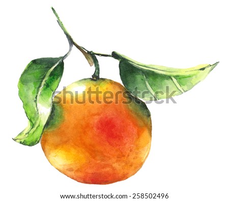 Watercolor orange painting on a white background