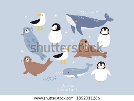 Vector with cute Arctic animals - Polar bear, seal, penguin, walrus, whale, fish, narwhal, albatross.  Cartoon characters Arctic and antarctic animals