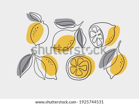 
Fresh lemons print. Hand drawn line lemon illustration. Minimalism lemon. Poster with  citrus fruits.