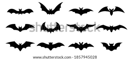 Collection of bat silhouettes for decoration or logo. Different shapes. Vector illustration