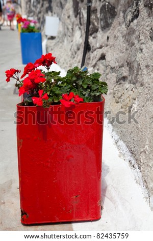 Colorful red and blue geranium pots in Thira, Santorini, Greece