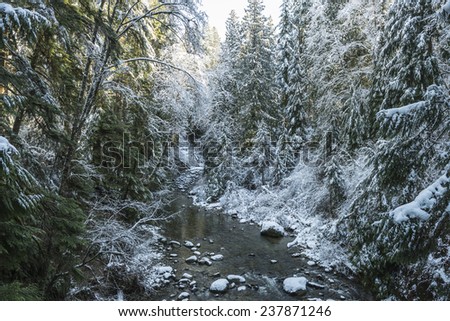 river in winter / looks like it would be frozen / if \'twer standing still