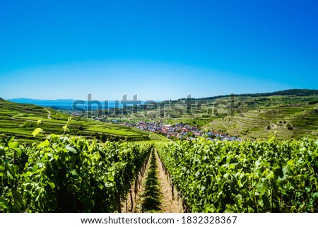 Similar – Image, Stock Photo Kaiserstuhl Tourism Trip