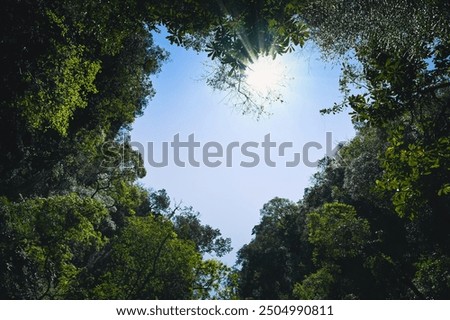 Similar – Foto Bild Ein Sonnenstrahl schaut hinter den Wolken hervor