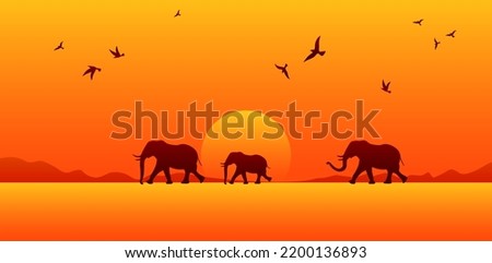 African savanna beautiful horizontal vector illustration. Three elephants walking on desert horizon. Red sunset in Africa. Cute mammal family migration. Elephant silhouette, sunrise. Wild life poster