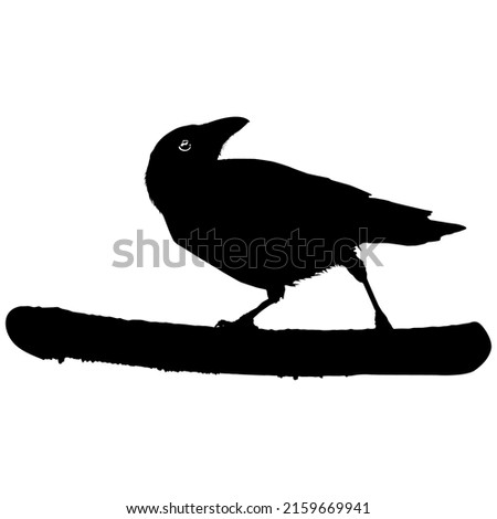 The Crow Silhouette for Logo or Graphic Design Element. Vector Illustration