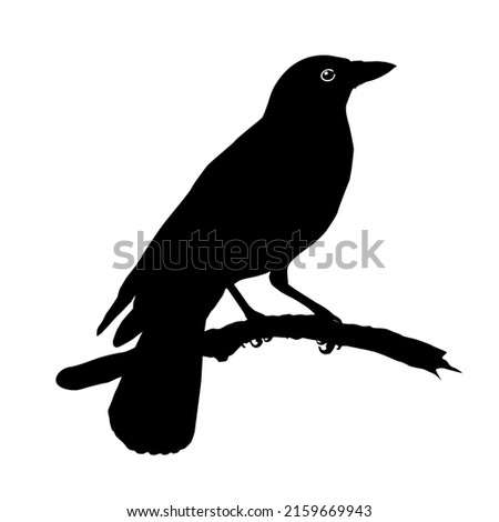 The Crow Silhouette for Logo or Graphic Design Element. Vector Illustration