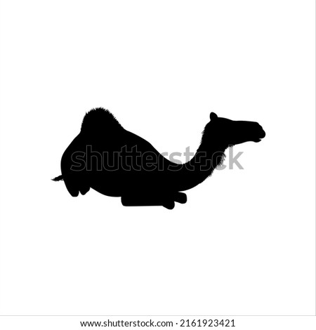 Camel (Sitting) Silhouette for Logo or Graphic Design Element, Vector Illustration