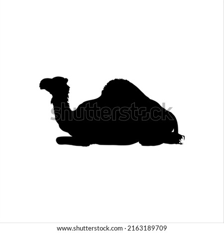 Camel (Sitting) Silhouette for Logo or Graphic Design Element, Vector Illustration