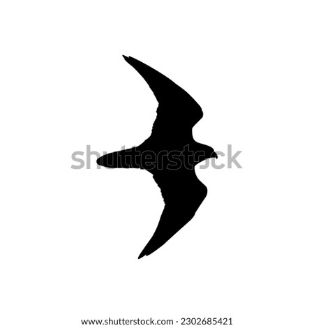 Silhouette of the Flying Bird of Prey, Falcon or Hawk, for Logo, Pictogram, Website, Art Illustration, or Graphic Design Element. Vector Illustration 