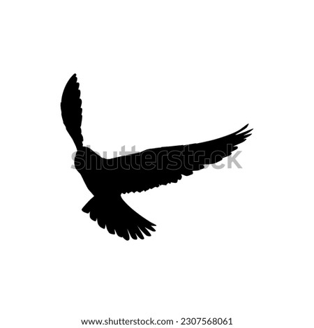 Silhouette of the Flying Bird of Prey, Falcon or Hawk, for Logo, Pictogram, Website, Art Illustration, or Graphic Design Element. Vector Illustration 