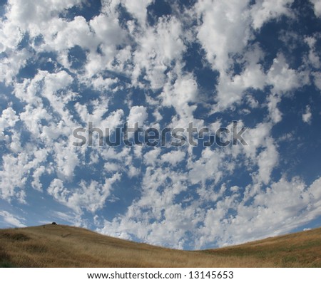 A sky to get lost in. Sky above Fairmont Ridge in Castro Valley, California