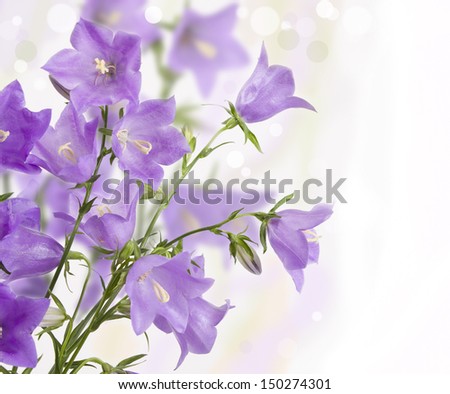 Bouquet of hand bells on a white background
