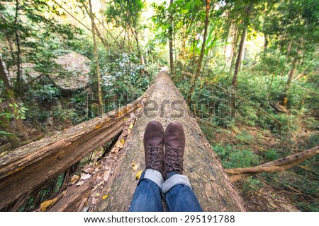 sitting on a falling tree in the forest. walk through a forest in Thailand