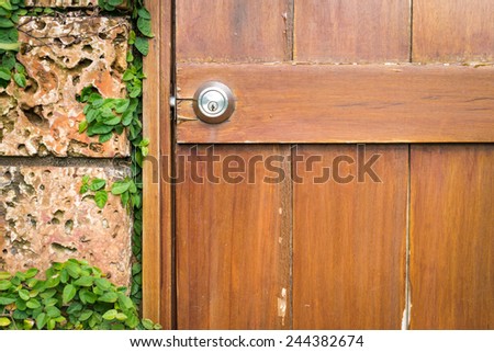 Close-up view of house details. Old front wooden door made of boards with lock and part of worn grungy wall with green covering it. Facade and exterior of buildings.