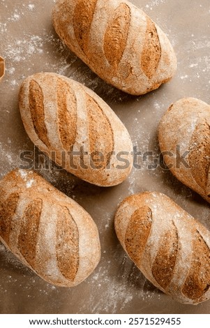 Similar – Foto Bild Sauerteigbrot Vielfalt Draufsicht auf einem blauen Hintergrund. Hausgemachtes Brot flat lay.