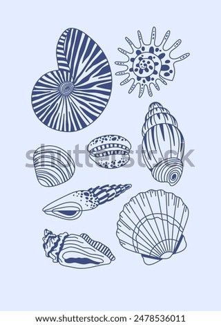 Seashell collection, summer beach, seashell set. Blue shells, poster, print.