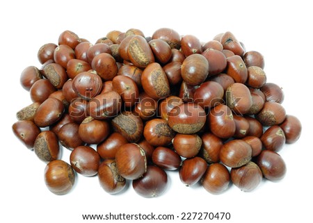 Chinese chestnut is a member of the family of chestnut native to China, Taiwan, and Korea.