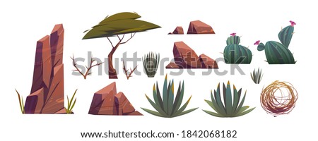 Tumbleweed, cactuses and rocks of sand desert in Africa. Vector cartoon set of stones, rolling dry bush, tropical green tree and desert plants isolated on white background