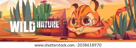 Wild nature cartoon web banner. Funny tiger cub hunting in African desert natural landscape. Baby predator life in deserted Africa with cacti and rocks, outdoor zoo park, save animals, vector concept