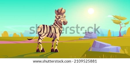 Savannah with cute zebra, acacia trees and green grass. Vector cartoon illustration of african savanna landscape with funny horse with white and black stripes. Safari park with wild animals 商業照片 © 