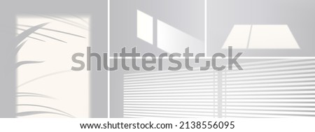 Shadow overlay effect from window, blinds and plant leaves on white wall. Vector realistic mockup of room with sunlight and gray shades of palm tree, window frame and louvers