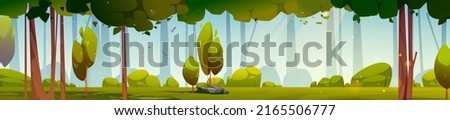 Summer forest panorama with trees and green grass on glade. Vector cartoon illustration of deep woods, nature park or garden landscape with green plants, bushes, stones and sunlight
