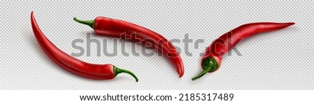 Chili pepper realistic 3d image on transparent background. Vector png illustration of red hot cayenne. Organic vegetable farming. Natural spicy paprika seasoning. Mexican cuisine ingredient