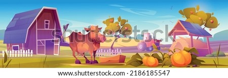 Farm landscape with cow gaze near wooden barn, tractor plow field, hay, ripe pumpkins and fruit trees in garden. Agriculture and farming countryside, village background, Cartoon vector illustration