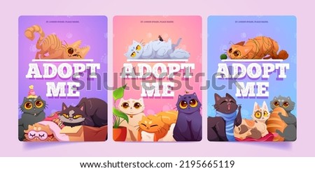 Adopt me posters with cute homeless cats in pet shelter. Funny fluffy kittens lying on pillow, sitting in cardboard box, entangled in yarn, vector cartoon illustrations for animal adoption banners