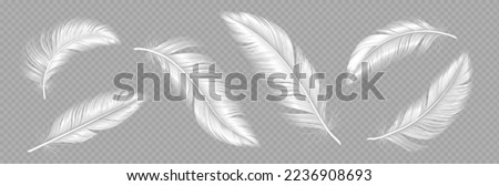 White soft feathers, bird plumage isolated on transparent background. Flying fluffy quills of angel, goose, swan or dove. Lightweight plumes set, vector realistic illustration