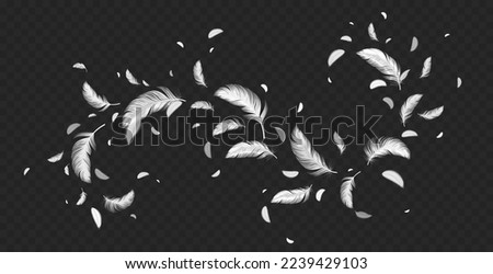 Flying white feathers png isolated on transparent background. Realistic vector illustration of abstract swirl of light fluffy plumage in air. Symbol of lightness, angels flight trail, hope and peace